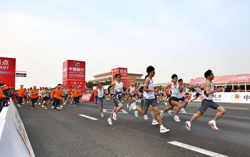 体验乐鱼体育网页登录的乐趣